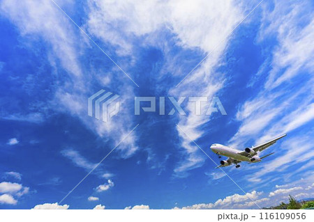 夏の大阪空港(伊丹空港) 着陸中の飛行機 大阪府豊中市 夏の大阪空港(伊丹空港) 着陸中の飛行機 大阪府豊中市 116109056