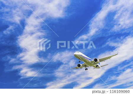 夏の大阪空港(伊丹空港) 着陸中の飛行機 大阪府豊中市 夏の大阪空港(伊丹空港) 着陸中の飛行機 大阪府豊中市 116109060