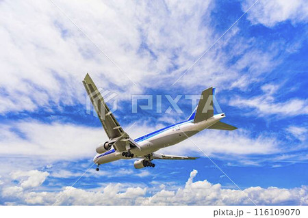 夏の大阪空港（伊丹空港）　着陸中の飛行機　大阪府豊中市 116109070