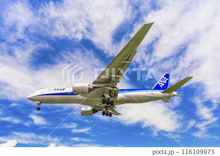 夏の大阪空港(伊丹空港) 着陸中の飛行機 大阪府豊中市 夏の大阪空港(伊丹空港) 着陸中の飛行機 大阪府豊中市 116109073