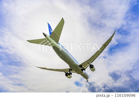 夏の大阪空港（伊丹空港）　着陸中の飛行機　大阪府豊中市 116109096