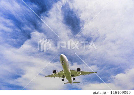 夏の大阪空港（伊丹空港）　着陸中の飛行機　大阪府豊中市 116109099