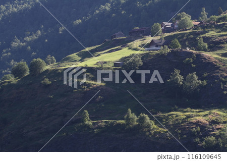 ノルウェーフィヨルドの緑豊かな峡谷の風景 116109645