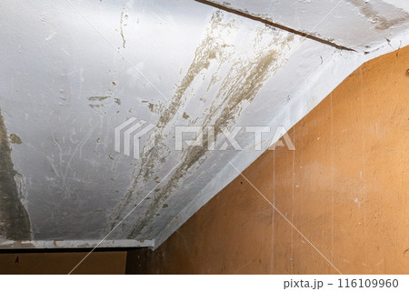 Damage ceiling from water pipelines leakage. Housing problem concept 116109960