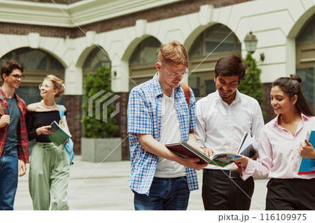 Boys and girls of all backgrounds, multiracial people studying together in front of the university. Friendship and youth Boys and girls of all backgrounds, multiracial people studying together in front of the university. Friendship and youth 116109975