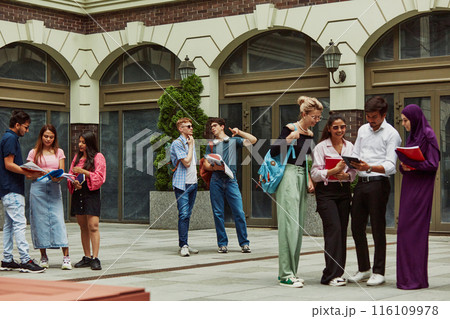 International students enjoying a productive study day outside the school, multiracial boys and girls lively talking outdoors International students enjoying a productive study day outside the school, multiracial boys and girls lively talking outdoors 116109978