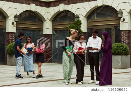 Group of students from different countries engaged in lively communication outdoors the university, studying, discussing personal and school life 116109982