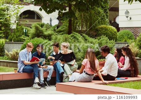 University students from around the world working together on assignments, multiracial boys and girls enjoying study session outdoors. 116109993