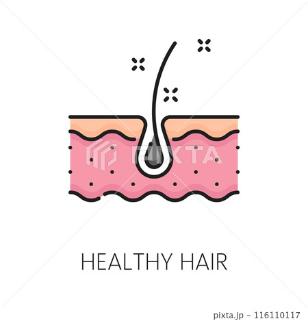 Hair care and treatment outline color icon. Bathroom cosmetics thin line symbol, spa salon styling and woman beauty treatment product line vector sign or pictogram with healthy hair follicle Hair care and treatment outline color icon. Bathroom cosmetics thin line symbol, spa salon styling and woman beauty treatment product line vector sign or pictogram with healthy hair follicle 116110117