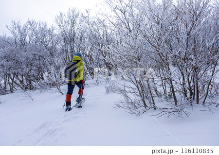 スノーシューハイクのイメージ　大山鏡ヶ成 116110835