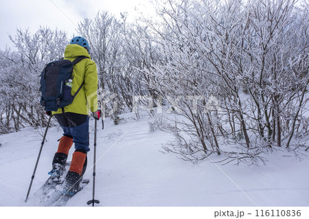 スノーシューハイクのイメージ　大山鏡ヶ成 116110836