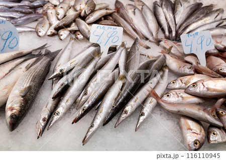 Colorful choice of fish at a market in Spain. Closeup of fish on display in a fish market, food concept. Fresh raw dorado 116110945