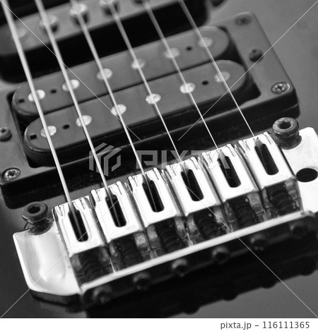 Electric guitar bridge, strings and pickup. Detail close-up view of guitar pickup in blue Electric guitar bridge, strings and pickup. Detail close-up view of guitar pickup in blue 116111365