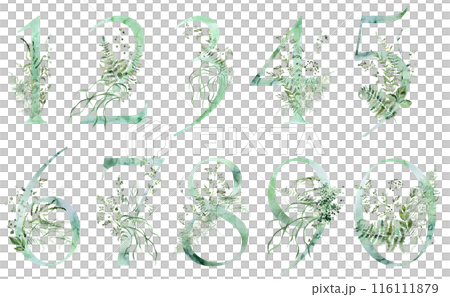 Green numbers with Watercolor whimsical tender leaves isolated illustration, wedding element Green numbers with Watercolor whimsical tender leaves isolated illustration, wedding element 116111879