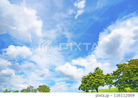初夏の雲と木立 初夏の雲と木立 116112009