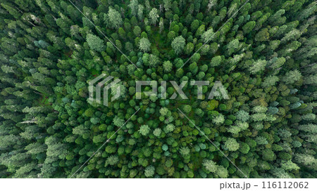 Aerial view of beautiful forest mountain landscape Aerial view of beautiful forest mountain landscape 116112062
