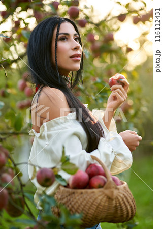 Beautiful young woman holding fresh ripe apple in hand, wanting to take a bite of it. Close up of Caucasian female with wicker basket, enjoying red apple, while walking in garden. Concept of harvest. 116112431