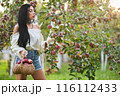 Pensive female gardener wearing shoulderless blouse picking apples in garden. Side view of long-haired lady with wicker basket working in orchard in sunlight. Harvest, gardening, organic food concept. 116112433