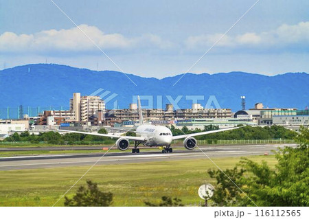 夏の大阪空港(伊丹空港) タキシング中の飛行機 大阪府豊中市 夏の大阪空港(伊丹空港) タキシング中の飛行機 大阪府豊中市 116112565