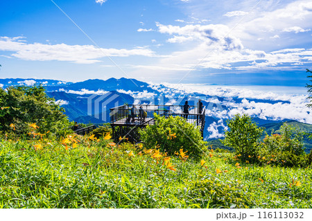 【栃木県】ニッコウキスゲ咲く、日光・霧降高原小丸山展望テラスから雲海を眺める観光客 【栃木県】ニッコウキスゲ咲く、日光・霧降高原小丸山展望テラスから雲海を眺める観光客 116113032