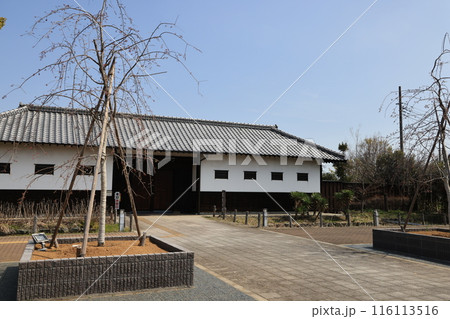 埼玉県鴻巣市花久の里の風景 116113516