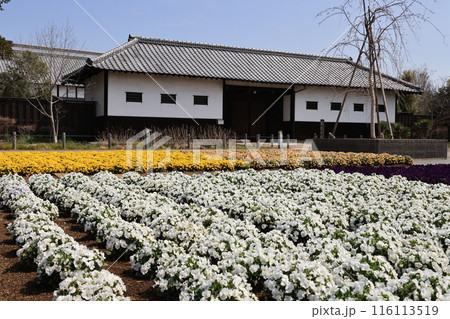 埼玉県鴻巣市花久の里の風景 116113519