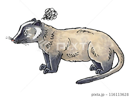 参るハクビシン 116113628