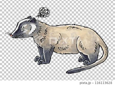 参るハクビシン 116113628