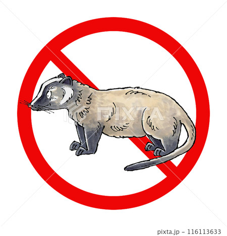 ハクビシン禁止マーク 116113633