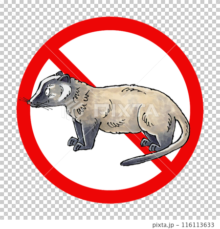 果子狸禁止標誌 果子狸禁止標誌 116113633