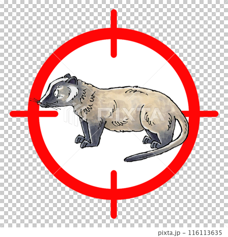 Palm civet target mark Palm civet target mark 116113635