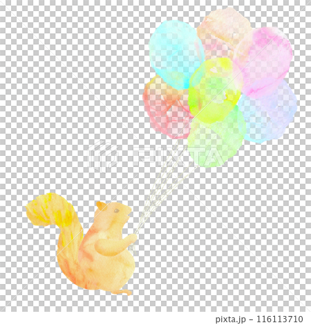 可愛的松鼠圖標,手裡拿著一堆彩色氣球。水彩插圖。 可愛的松鼠圖標,手裡拿著一堆彩色氣球。水彩插圖。 116113710
