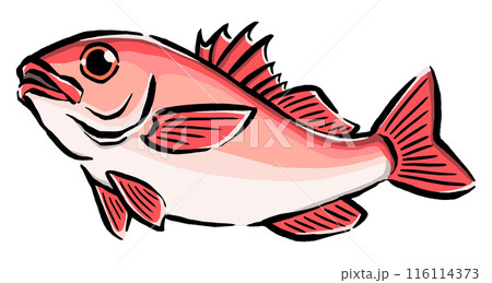 跳ねるのどぐろのイラスト 116114373