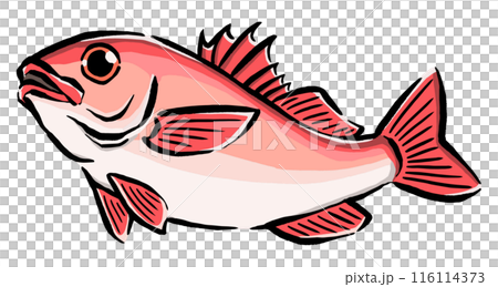 跳ねるのどぐろのイラスト 116114373