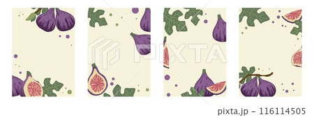 Ripe juicy figs and leaves set of vertical backgrounds Ripe juicy figs and leaves set of vertical backgrounds 116114505
