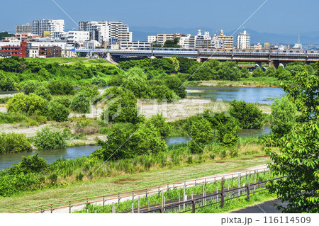 緑豊かな多摩川　二子新地駅周辺の街並み　多摩川を渡る東急線【神奈川県・川崎市－東京都・世田谷区】 116114509