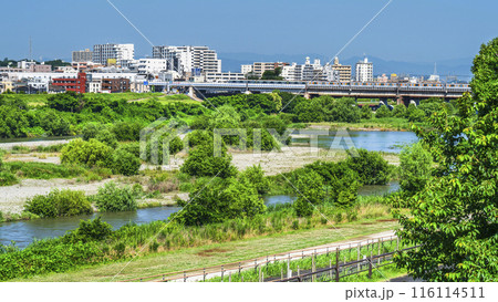 緑豊かな多摩川　二子新地駅周辺の街並み　多摩川を渡る東急線【神奈川県・川崎市－東京都・世田谷区】 116114511