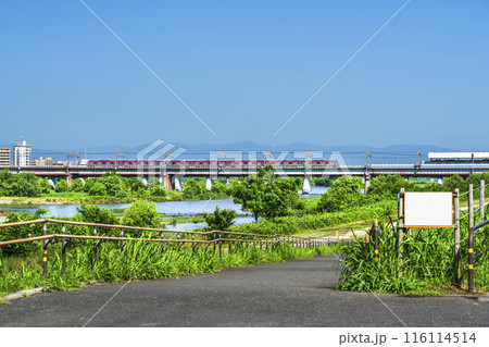 多摩川を渡る東急電車と多摩川河川敷の風景【東京都・世田谷区－神奈川県・川崎市】 116114514