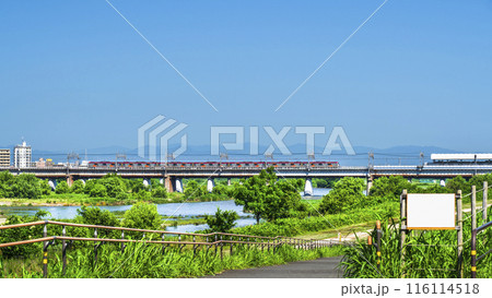 多摩川を渡る東急電車と多摩川河川敷の風景【東京都・世田谷区－神奈川県・川崎市】 116114518