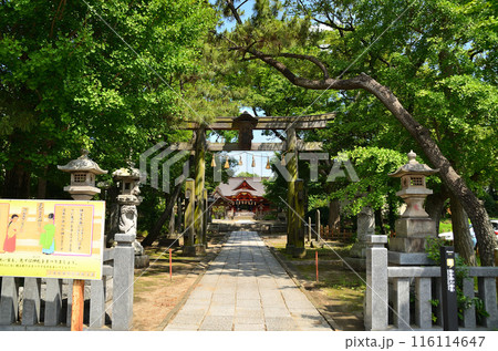 千葉県市原市八幡のパワースポット 飯香岡八幡宮 千葉県市原市八幡のパワースポット 飯香岡八幡宮 116114647