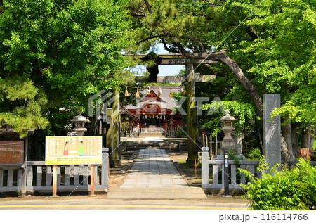 千葉県市原市八幡のパワースポット　飯香岡八幡宮 116114766