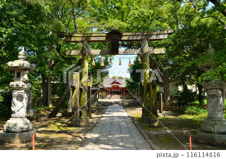 千葉県市原市八幡のパワースポット　飯香岡八幡宮 116114816