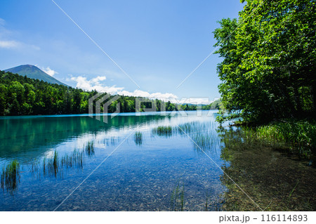 夏のオンネトー 116114893