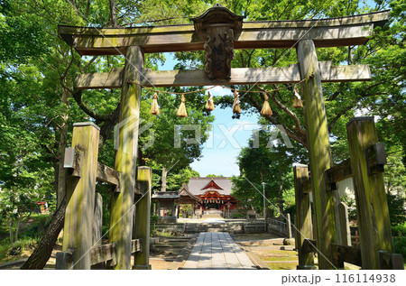 千葉県市原市八幡のパワースポット 飯香岡八幡宮 千葉県市原市八幡のパワースポット 飯香岡八幡宮 116114938