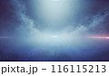 小さな緑と共に 116115213