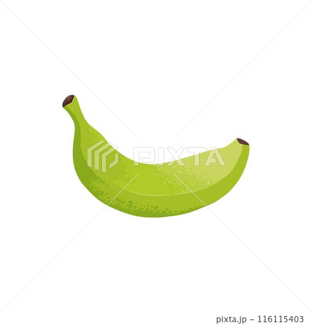Banana ripeness stage. Different organic fruit peel color from green to brown, organic rotten and fresh ripe fruit. Vegetarian healthy food vector of banana ripen and rot stage illustration 116115403