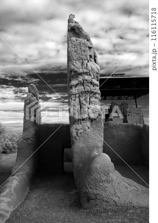 Casa Grande National Monument Infrared 116115718