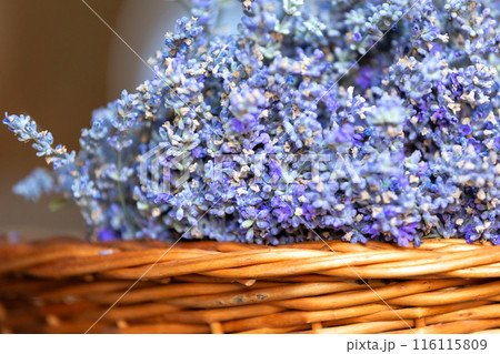 Basket with lavender flowers. Aromatherapy Basket with lavender flowers. Aromatherapy 116115809