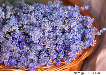 Basket with lavender flowers. Aromatherapy 116115810