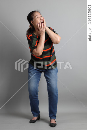 Senior Asian Woman 116115901
